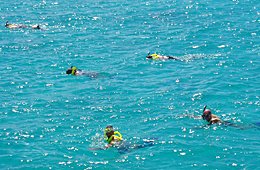 Snorkelers in sea